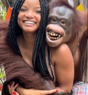 'Little Mermaid' star Halle Bailey slammed for posting photos with animals at zoo | 'Little Mermaid' star Halle Bailey slammed for posting photos with animals at zoo
