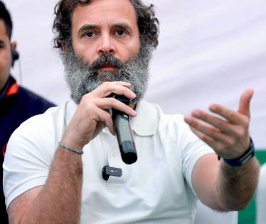 Punjab should not be ruled from Delhi, Rahul Gandhi tells Mann | Punjab should not be ruled from Delhi, Rahul Gandhi tells Mann