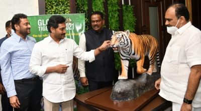 Tiger numbers in Andhra rise from 47 to 63 | Tiger numbers in Andhra rise from 47 to 63