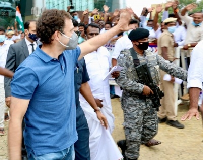 Rahul to visit Rajasthan to support farmers' protests | Rahul to visit Rajasthan to support farmers' protests