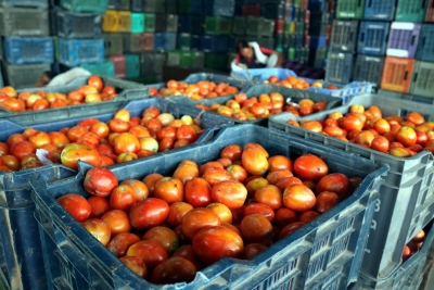 Tomato prices skyrocket in Chennai after supplies hit by heavy rainfall | Tomato prices skyrocket in Chennai after supplies hit by heavy rainfall