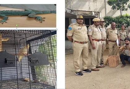 6 held in Hyderabad for exhibiting exotic animals at pub | 6 held in Hyderabad for exhibiting exotic animals at pub