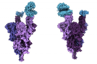 Indian-origin scientist creates 1st molecular structure of Omicron protein | Indian-origin scientist creates 1st molecular structure of Omicron protein