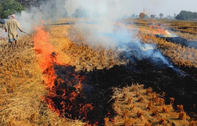18 UP districts fail to check stubble burning | 18 UP districts fail to check stubble burning