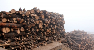 Death becomes expensive as wood prices soar in Lucknow | Death becomes expensive as wood prices soar in Lucknow
