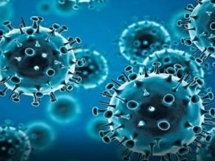 Covid death risk 50% higher in schizophrenia, psychosis patients: Study | Covid death risk 50% higher in schizophrenia, psychosis patients: Study