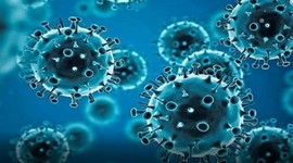 Study finds Covid virus' protective switches that defend against immune system | Study finds Covid virus' protective switches that defend against immune system