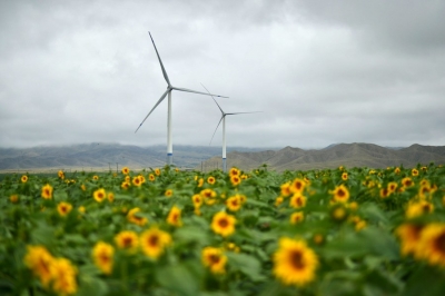 UN says global pact to halt biodiversity loss in sight | UN says global pact to halt biodiversity loss in sight