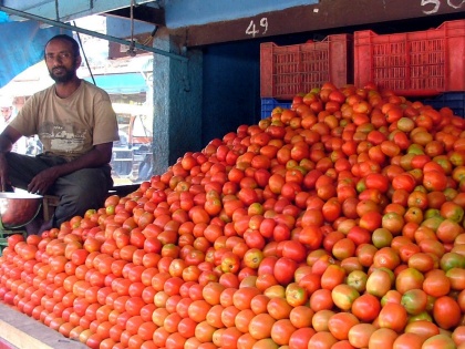 TN to sell tomatoes in 300 more PDS shops in state | TN to sell tomatoes in 300 more PDS shops in state