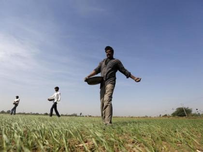 Total foodgrain production estimated at record 295.67 million tonnes for 2019-20 | Total foodgrain production estimated at record 295.67 million tonnes for 2019-20