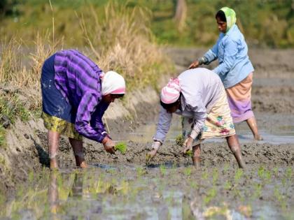 Over 29 lakh farmers benefitted from Pradhan Mantra Kisan Sampada Yojana: Centre tells RS | Over 29 lakh farmers benefitted from Pradhan Mantra Kisan Sampada Yojana: Centre tells RS Over 29 lakh farmers benefitted from Pradhan Mantra Kisan Sampada Yojana: Centre tells RS | Over 29 lakh farmers benefitted from Pradhan Mantra Kisan Sampada Yojana: Centre tells RS