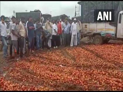 Maharashtra farmers dump tomatoes on roadside as prices of produce crash | Maharashtra farmers dump tomatoes on roadside as prices of produce crash