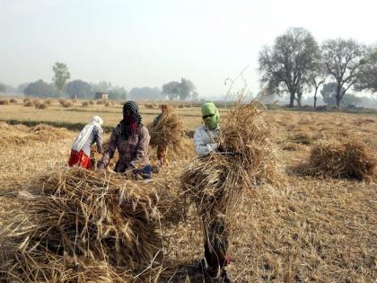 Andhra Pradesh farmers hails new guidelines for lockdown | Andhra Pradesh farmers hails new guidelines for lockdown