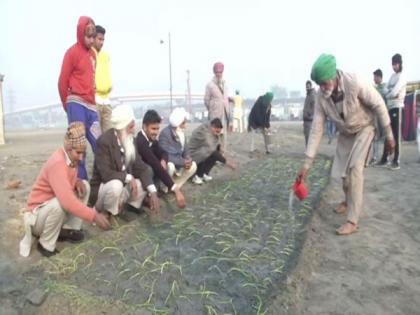 Some farmers start sowing onions at protest venue in Delhi | Some farmers start sowing onions at protest venue in Delhi Some farmers start sowing onions at protest venue in Delhi | Some farmers start sowing onions at protest venue in Delhi
