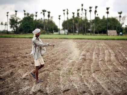 Over 41 lakh paddy farmers have benefitted from KMS procurement: Agriculture Ministry | Over 41 lakh paddy farmers have benefitted from KMS procurement: Agriculture Ministry Over 41 lakh paddy farmers have benefitted from KMS procurement: Agriculture Ministry | Over 41 lakh paddy farmers have benefitted from KMS procurement: Agriculture Ministry