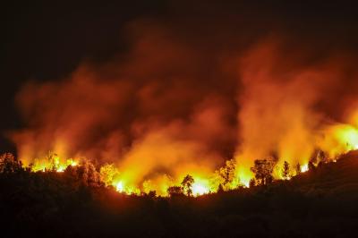 Spanish wildfires under control amid rain | Spanish wildfires under control amid rain