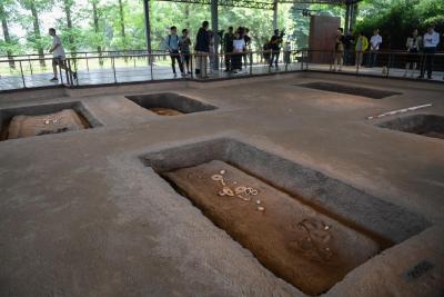 A 1,400-year-old tomb discovered in China's Henan | A 1,400-year-old tomb discovered in China's Henan