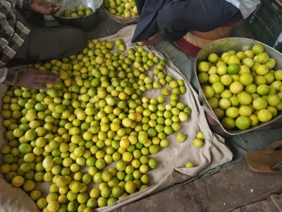 Lemon water becomes an elite drink as lemon prices touch Rs 400 per kg in Jaipur | Lemon water becomes an elite drink as lemon prices touch Rs 400 per kg in Jaipur
