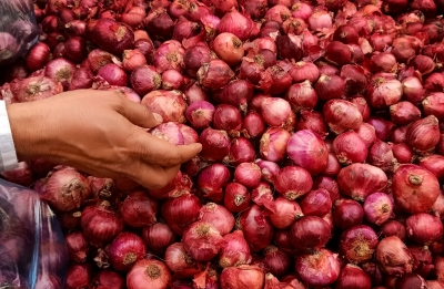 Prices of onion cheaper than last year, says Centre | Prices of onion cheaper than last year, says Centre