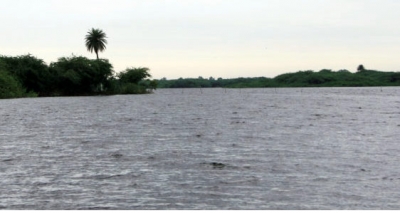 Environmentalists hail decision to declare Soor Sarovar as Ramsar site | Environmentalists hail decision to declare Soor Sarovar as Ramsar site Environmentalists hail decision to declare Soor Sarovar as Ramsar site | Environmentalists hail decision to declare Soor Sarovar as Ramsar site