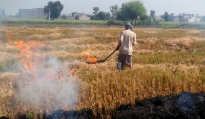 Punjab appoints 8,500 nodal officers to monitor stubble burning | Punjab appoints 8,500 nodal officers to monitor stubble burning