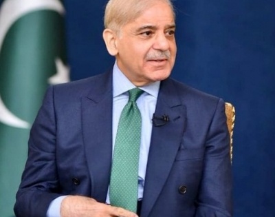 Calling on friendly countries for more loans embarrassing: Shehbaz Sharif | Calling on friendly countries for more loans embarrassing: Shehbaz Sharif