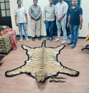 Royal Bengal tiger skin, pair of black buck antlers seized in Kolkata | Royal Bengal tiger skin, pair of black buck antlers seized in Kolkata