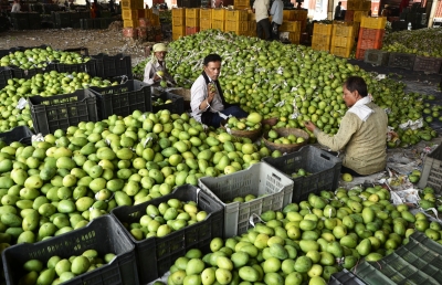 Need to monitor arsenic contamination in food trade: Experts | Need to monitor arsenic contamination in food trade: Experts