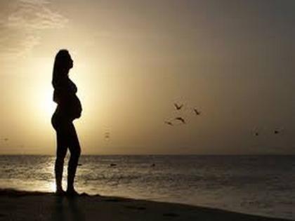 Air pollution adversely affects female fertility | Air pollution adversely affects female fertility