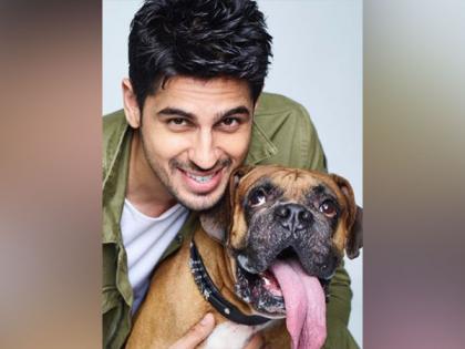 'He's left a massive void in my heart': Sidharth Malhotra mourns demise of pet 'Oscar' | 'He's left a massive void in my heart': Sidharth Malhotra mourns demise of pet 'Oscar'