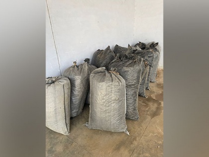 MP: Central Bureau of Narcotics seizes 600 kgs poppy, 16 kgs Opium, Rs 2.5 lakh cash during search in Chittorgarh village | MP: Central Bureau of Narcotics seizes 600 kgs poppy, 16 kgs Opium, Rs 2.5 lakh cash during search in Chittorgarh village