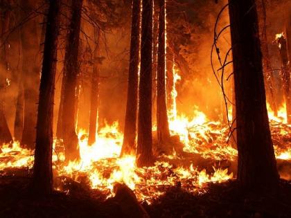 Colombian defence minister blames former FARC members for Amazon forest fires | Colombian defence minister blames former FARC members for Amazon forest fires Colombian defence minister blames former FARC members for Amazon forest fires | Colombian defence minister blames former FARC members for Amazon forest fires