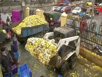 Huge quantity of flowers gone to waste at Chennai wholesale market due to poor demand, continuous rain | Huge quantity of flowers gone to waste at Chennai wholesale market due to poor demand, continuous rain