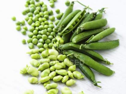 Increasing peas and beans, limiting red meat safe for bone health, protein intake: Study | Increasing peas and beans, limiting red meat safe for bone health, protein intake: Study Increasing peas and beans, limiting red meat safe for bone health, protein intake: Study | Increasing peas and beans, limiting red meat safe for bone health, protein intake: Study