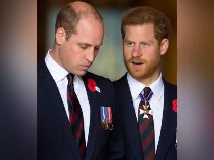 Prince Harry, Prince William to reunite at Princess Diana memorial despite tensions | Prince Harry, Prince William to reunite at Princess Diana memorial despite tensions