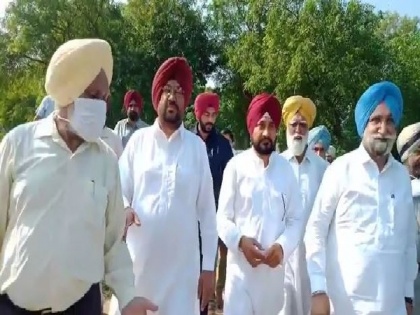 Bathinda: Punjab CM Channi takes stock of crop destroyed due to pink bollworm infestation | Bathinda: Punjab CM Channi takes stock of crop destroyed due to pink bollworm infestation