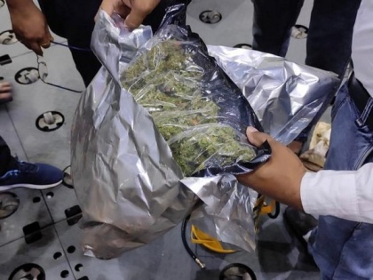 One held, 500 gms ganja seized at Delhi airport | One held, 500 gms ganja seized at Delhi airport