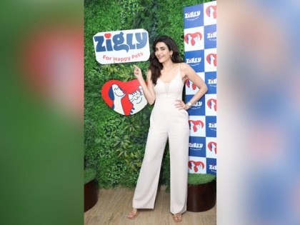 Indian citizens are inhuman towards pets says Karishma Tanna | Indian citizens are inhuman towards pets says Karishma Tanna