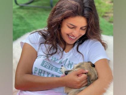 Priyanka Chopra reunites with her furry friends | Priyanka Chopra reunites with her furry friends