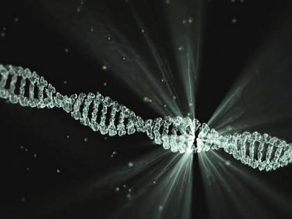 Research: Chromosome inheritance is influenced by stress in intestine | Research: Chromosome inheritance is influenced by stress in intestine Research: Chromosome inheritance is influenced by stress in intestine | Research: Chromosome inheritance is influenced by stress in intestine
