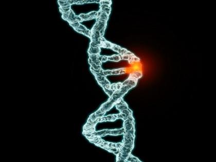 Genes can respond to coded information in signals or filter them out entirely: Study | Genes can respond to coded information in signals or filter them out entirely: Study Genes can respond to coded information in signals or filter them out entirely: Study | Genes can respond to coded information in signals or filter them out entirely: Study