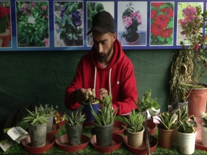 Gardening emerges as new hobby among J-K youth amid COVID-19 lockdown | Gardening emerges as new hobby among J-K youth amid COVID-19 lockdown