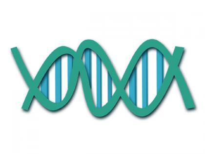 Researchers discover new mammal reference genome that helps ID genetic variants for human health | Researchers discover new mammal reference genome that helps ID genetic variants for human health Researchers discover new mammal reference genome that helps ID genetic variants for human health | Researchers discover new mammal reference genome that helps ID genetic variants for human health