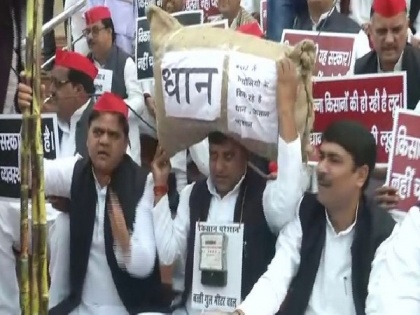 UP: SP stages protest against BJP at Assembly premises on Constitution Day | UP: SP stages protest against BJP at Assembly premises on Constitution Day