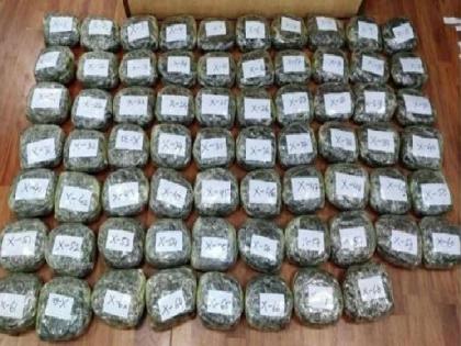 Directorate of Revenue Intelligence seizes 155 kg Hashish smuggled from Nepal | Directorate of Revenue Intelligence seizes 155 kg Hashish smuggled from Nepal
