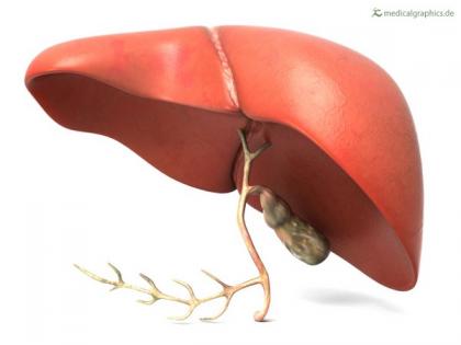 Chronic liver disease affects both men and women similarly | Chronic liver disease affects both men and women similarly
