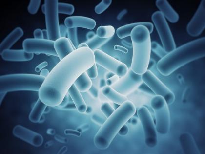 Study finds single course of antibiotics affects infants' gut microbiota | Study finds single course of antibiotics affects infants' gut microbiota