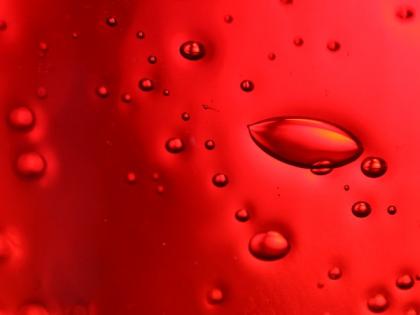 Study: Haemoglobin was invented by a single gene | Study: Haemoglobin was invented by a single gene Study: Haemoglobin was invented by a single gene | Study: Haemoglobin was invented by a single gene
