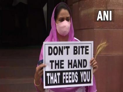 'Don't bite hand that feeds you': SAD MP Harsimrat Kaur continues protest on farm laws | 'Don't bite hand that feeds you': SAD MP Harsimrat Kaur continues protest on farm laws