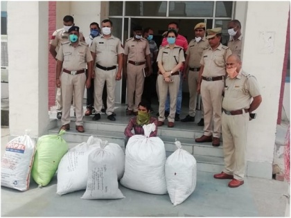 200 kgs of ganja seized in Haryana's Hisar, three arrested | 200 kgs of ganja seized in Haryana's Hisar, three arrested